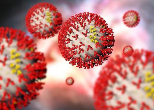 中科院武汉病毒所筛出能较好抑制新型冠状病毒药物