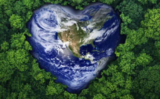 天猫上刮起“可持续时尚”风  Zara、H&M、太平鸟纷纷推出环保系列