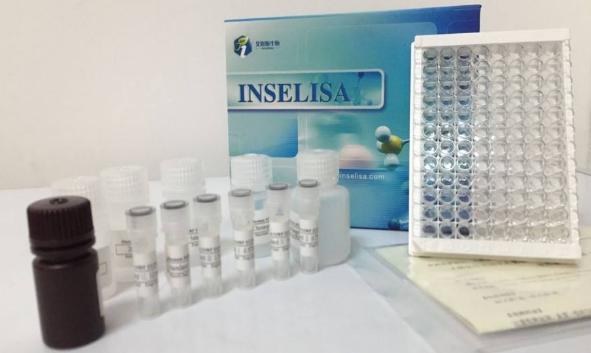 全球首个新冠病毒中和抗体试剂盒诞生