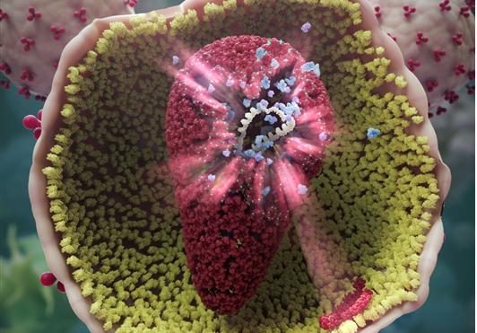 吉利德研发出新HIV候选治疗药物