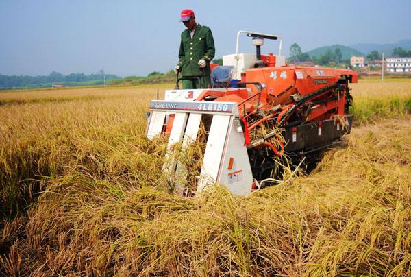 智能引领 粮食生产实现高效高产