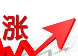 12月面板价格涨 一路持续到明年2月