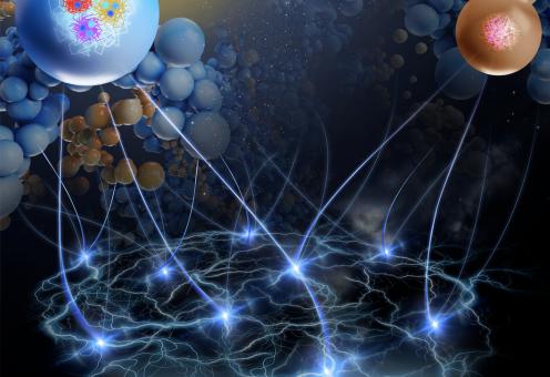 机器学习探索复杂非平衡相变研究获进展