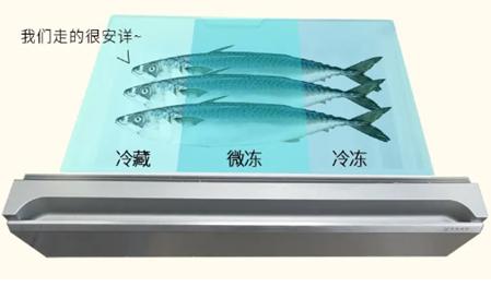 澳柯玛：谷雨到鲅鱼跳，鲅鱼这样冷藏更鲜美