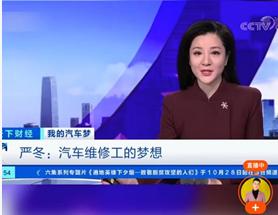 快手成汽车用品销售新渠道