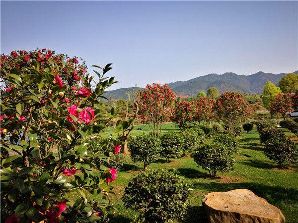 科技人才助力农民增收