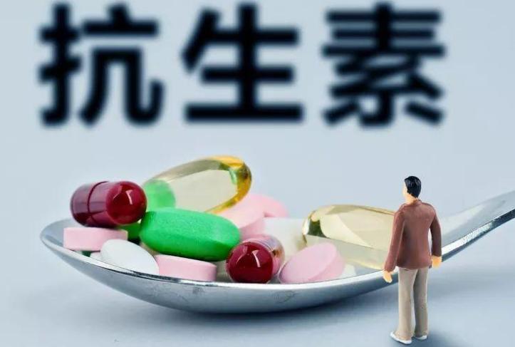 警惕！高脂饮食诱发抗生素“耐受性”