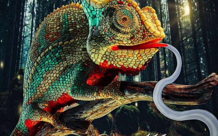 可穿戴伪装技术出现重大突破 “变色龙”软体机器人问世