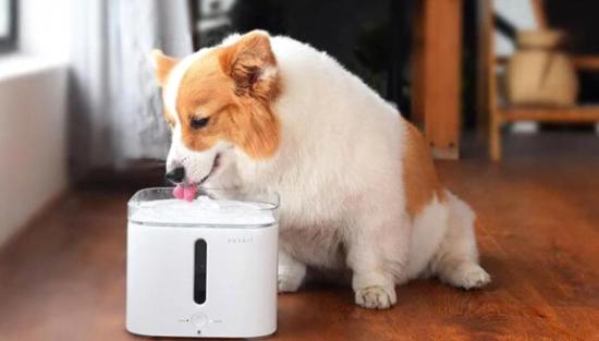 乱炖家电：“适老家电”、“宠物家电”上了热搜，为什么?