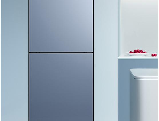 疫情面前毫无畏惧 大容量除味冰箱给足安全感