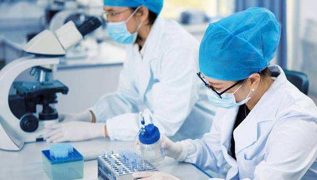 全方位加强育种科研人才队伍建设