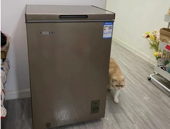 持续热销！ 美菱冷柜成市场新宠