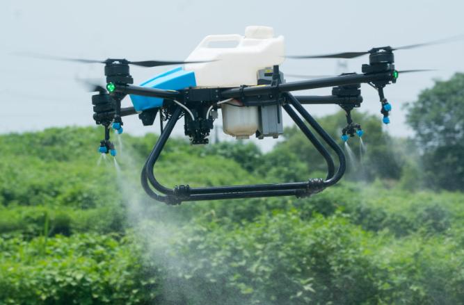 植保无人机操作员：放下小药箱 控制“小飞侠”