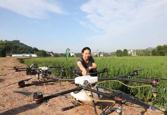 河北饶阳：智慧农业成乡村致富“密码”