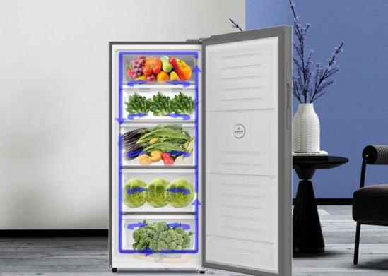 家庭储鲜多面手，澳柯玛196立式冷柜受欢迎