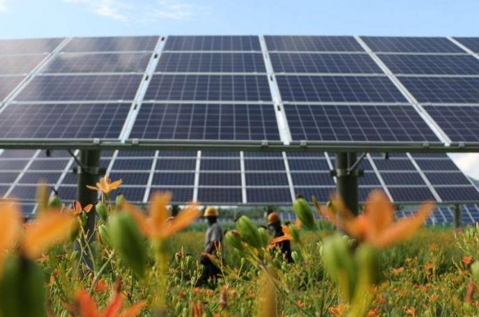 多部门联合组织开展农村能源革命试点县建设