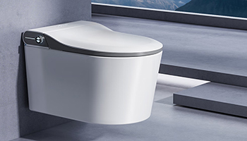 罗永浩再现智能马桶名场面 ，智能马桶在国内前景如何？