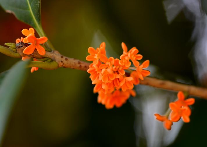 桂花网：运动负荷管理即将进入蓝牙新时代