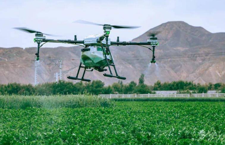 无人机飞进菜地，让农民抱稳“油瓶”