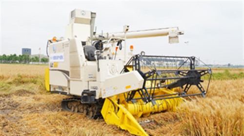 “智慧麦作”让田间管理明明白白
