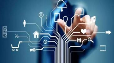 以“网”链接数字未来 业内人士热议数字产业变革动力