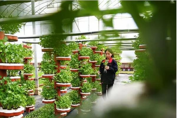 用最好的技术种出最好的粮食