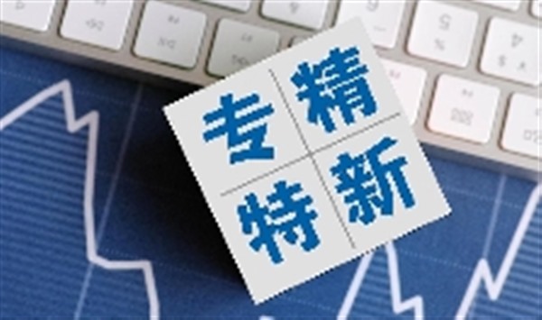 加快发展数字化专精特新企业 拥抱数字化转型