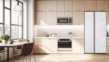 大容量也要高颜值！澳柯玛冰珀白冰箱抢“鲜”上市