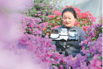 电子商务为中国经济添动能