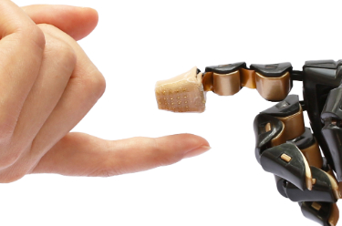 新型仿人类三维电子皮肤正式问世