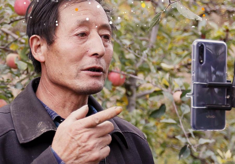 各大直播电商平台直播助农做得风生水起