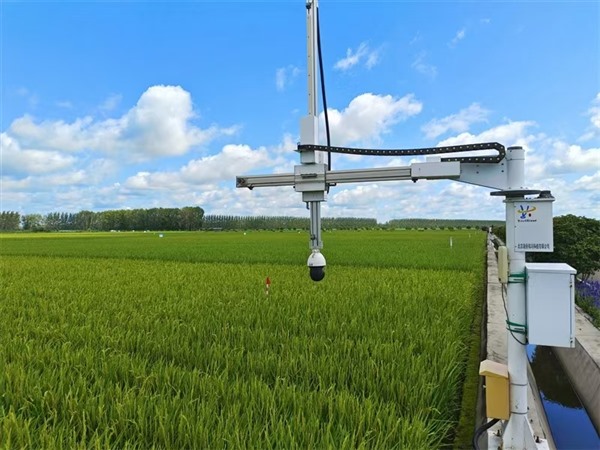 田间“把脉” 垄上“读心”——大地上的智慧“魔法”