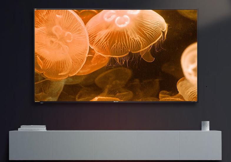 防止家电以旧换新补贴成为部分商家套利的工具