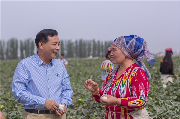 洁丽雅被授予“全国民族团结进步模范集体”荣誉称号！