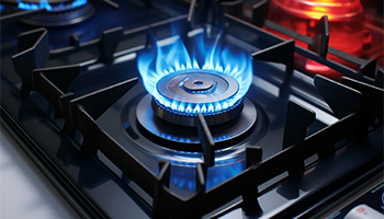 河北省市场监督管理局发布家用燃气灶等产品质量监督抽查结果