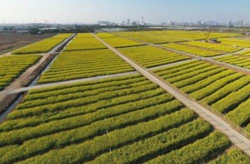 保障食品安全要靠科技 专家：区块链、大数据用起来