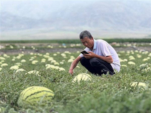 枸杞硒砂瓜遇容声黑科技 这场中卫“寻鲜之约”甜到心坎里​