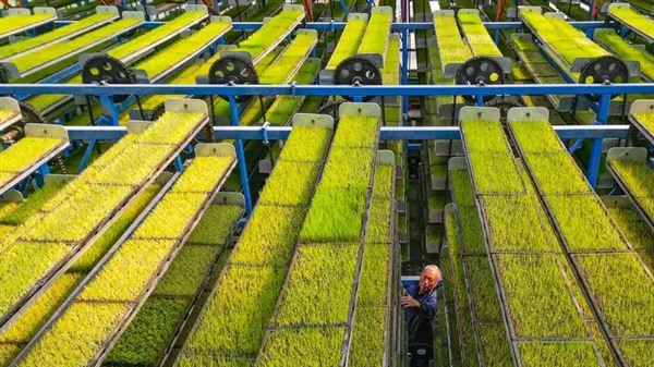 农业数智化转型升级 包括农业全产业链的智慧化改造