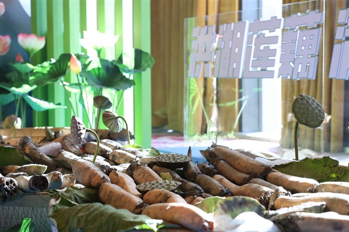 藕莲京城 荷力全开 洪湖莲藕品牌价值发布暨品牌发展大会在京举行