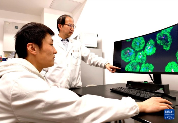 中国科学家创出蛋白靶向降解技术为“隐身”肿瘤细胞打上“身份标签”