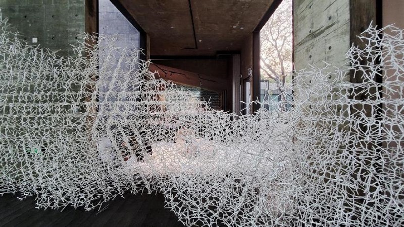 积极拓展低空经济应用场景