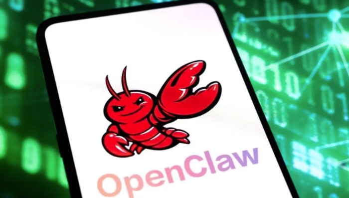 人人都适合“养龙虾”吗？“龙虾热”背后的“冷思考”